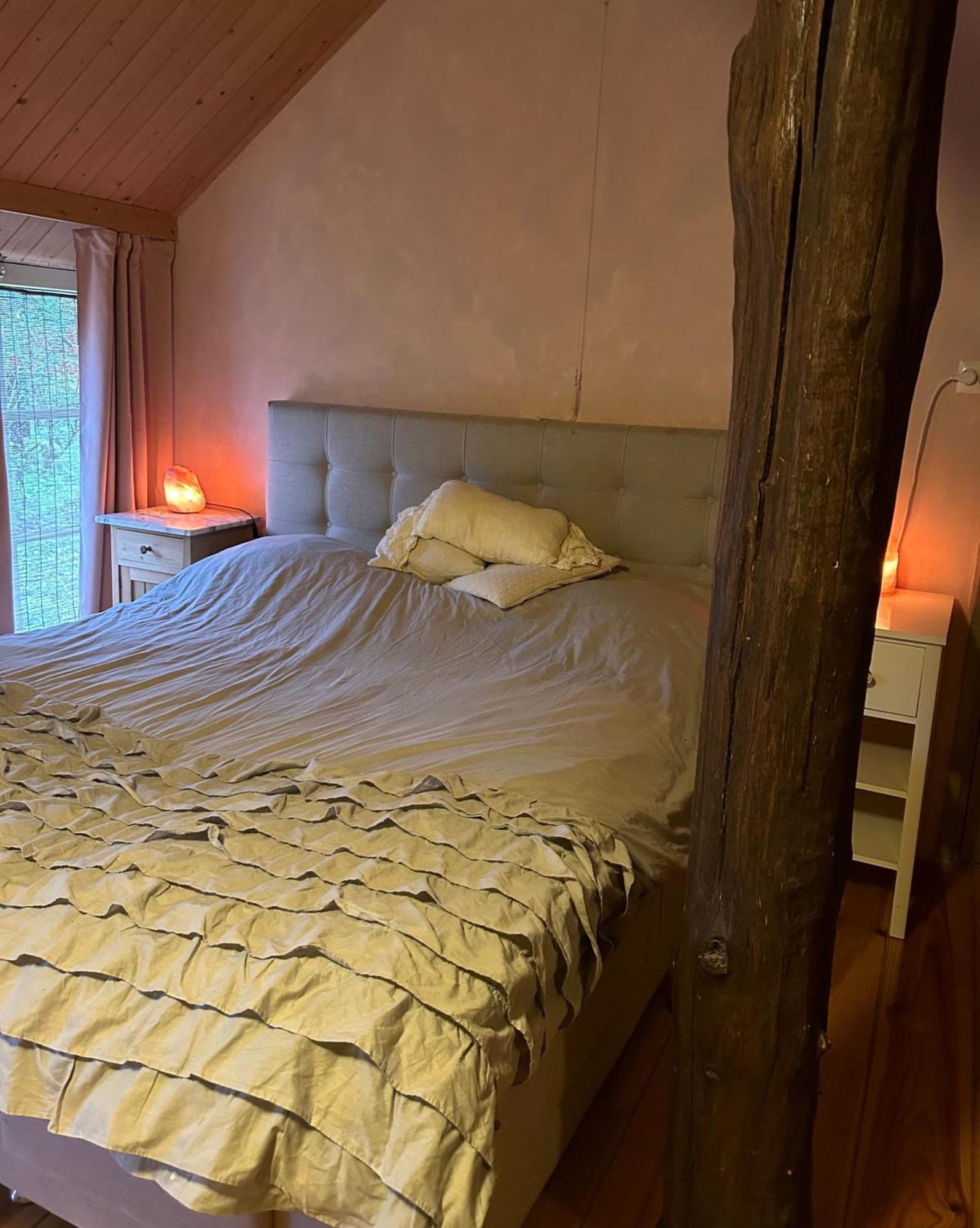 Bed and Breakfast Landgoed De Bongel De Wijk Экстерьер фото